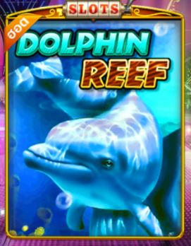 Pussy888-Dolphin Reef